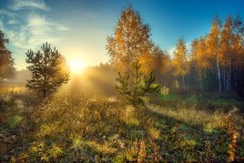 Colors of autumn. / ***