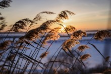 Spring sunset! / ***