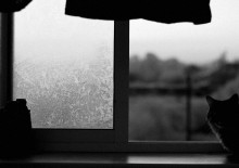 Winter, window, dawn ... / ---