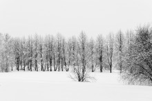 Fads of March! / ***