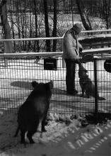  / tierpark