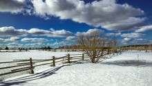 Spring sky ... / ***