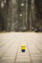 Mignon in the park. / ***