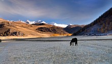 Altai autumn / ***