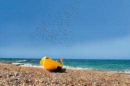 Boat on coast / The lonely boat is dried on seacoast after long navigation