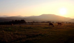 In the hills of Serbia / ***