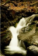 autumn leaf fall, and maybe a waterfall ... / ***