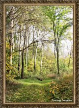 Penetration of autumn / ***