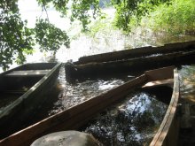 Last Day of Summer ... (2) / ***