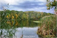 Cloudy morning / ***