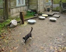 Again nothing put ... / ***