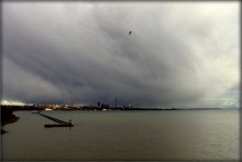 played tornado Toronto / .....