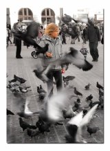 Love and Pigeons / ***