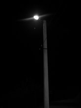 Shine my flashlight / ***
