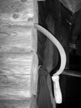 sickle on ... / ***