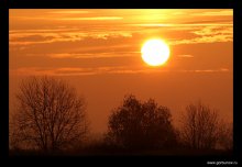 Dawn / ***