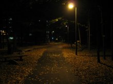night, street lights ... / ***