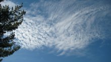 I marvel at the sky is the first Dumka guess: I do not chomu sokil, chomu not litayu? .. / ***