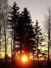Morning in the village / ***
