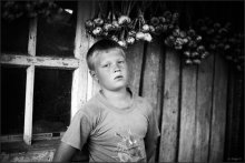 Portrait of garlic / ***