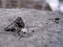 Jerusalem Star / ***