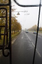 autumn morning sleepy / ***