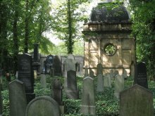 New Jewish Cemetery / .....