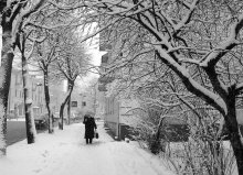 Snowfall / ***