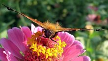 ready for takeoff / ***