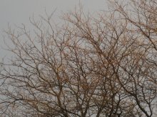 melancholy / 5.11.2007