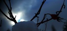 Soon night / ***