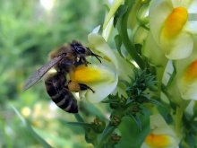 look in here yet. / ***