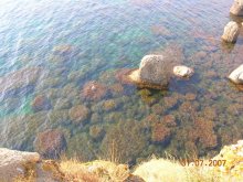 Underwater / ***
