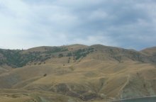 Hills / ***