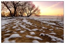 Pieces of winter at sunset. / ***