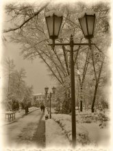 fascinated public garden / ***