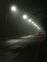 Foggy road / ***