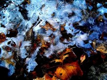 A meeting of winter and autumn / ***