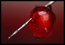 Garnet / ***
