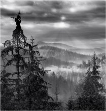Foggy morning in the Carpathians / ***