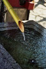 Ueno / Ueno, Tokyo 2007