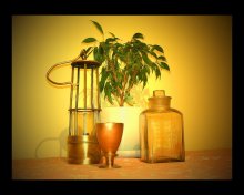 Still life / ***