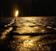 On the pavement. / ***