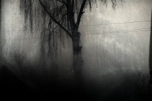 Calls and beckons ... / ***