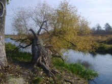 Place of Power / .....