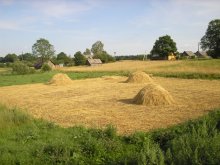 Haymaking / ***