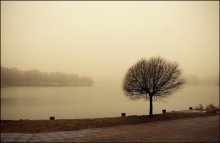 Peculiarities of the National Winter / ***