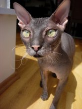 From another planet! / ***