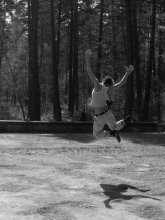 And flew ... / ***