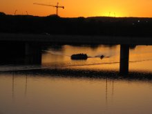 Sunset / ***